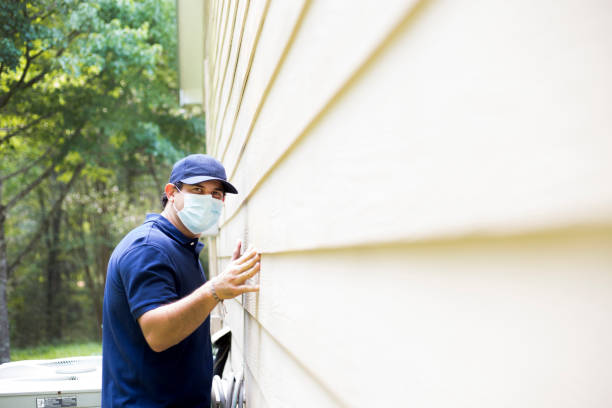 Professional Siding in South Patrick Shores, FL